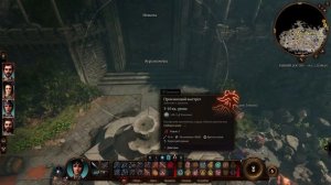 Как сломать стену незаметно в лагере гоблинов и не разбудить Багбира ? | Baldur's Gate 3 [patch 9]