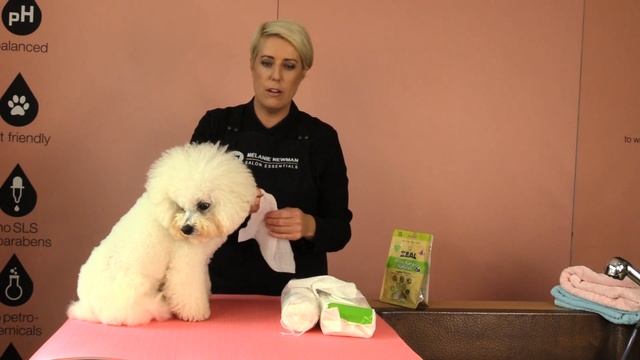 How to Clean your dogs eyes смотреть онлайн
