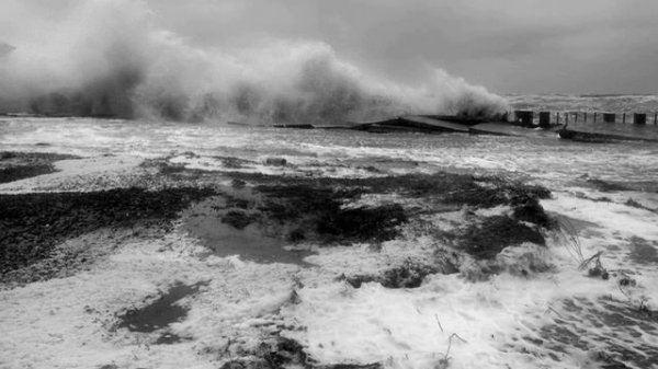 Студёное море, Белое