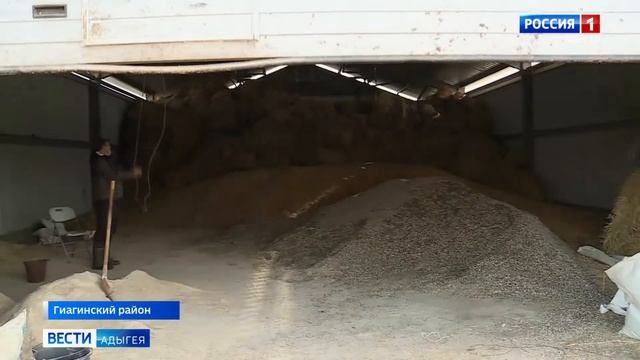 В животноводческих хозяйствах республики продолжается зимовка крупного рогатого скота