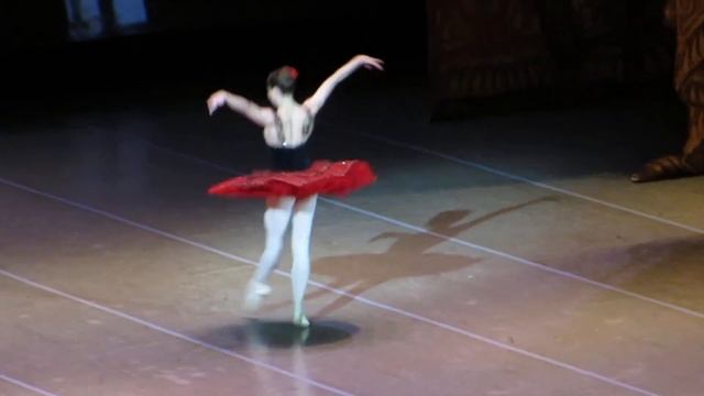 12.05.2015 НГАТОиБ Анна Жарова, Иван Кузнецов смотреть онлайн