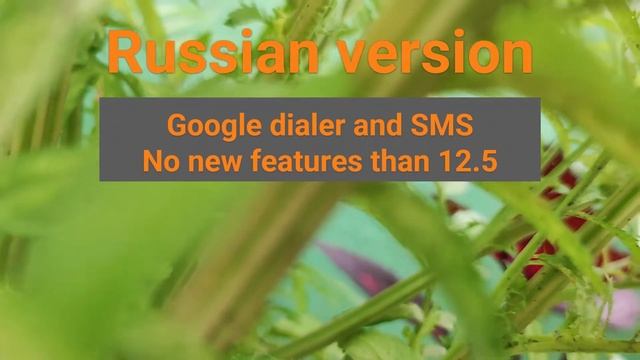MIUI 13 Region Variants For MI 11 Lite 5G NE Lisa