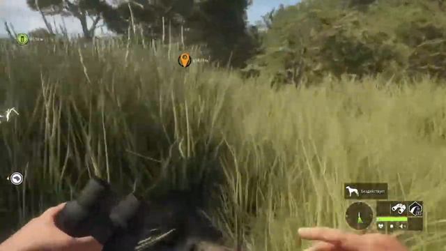 Охота на Льва Альбинос в Африке часть 3 | The Hunter Call of the Wild смотреть онлайн