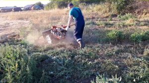 Обкашиваю края картофельного поля роторной косилкой на мотоблоке Фаворит!