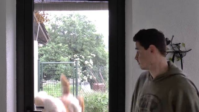 Trollnours #1 - Et Paf Nounours. смотреть онлайн