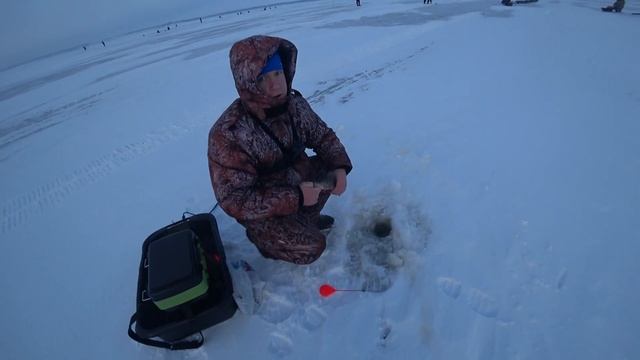 Зимняя рыбалка.Ловля окуня на балансир Rapala. смотреть онлайн