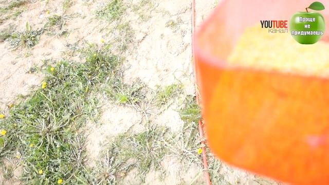 Дизайн Одежды