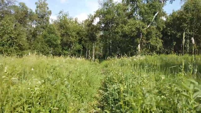 МоноколесЫ в Белорецке. На Курташ. Первый день смотреть онлайн