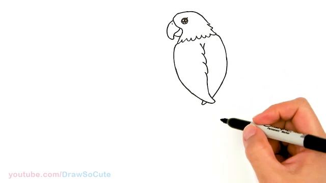 How to Draw a Parrot смотреть онлайн