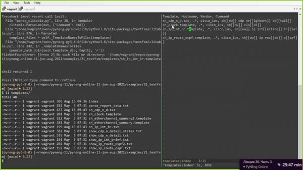 20.3 Обработка вывода команд TextFSM