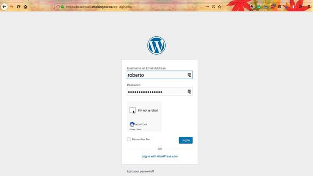How to Log Into Your WordPress Website смотреть онлайн