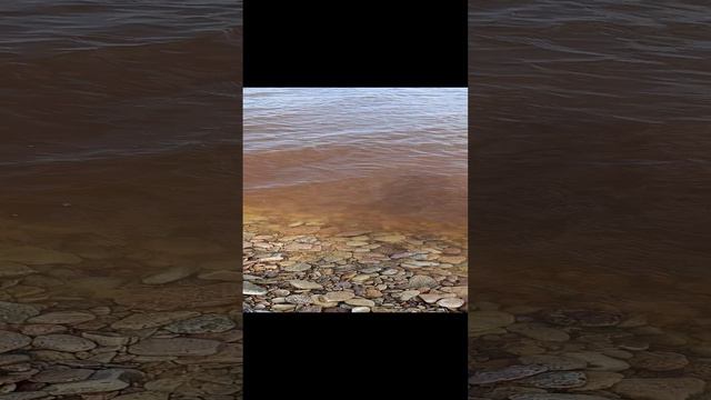 Озеро Ильмень_2. Апрель 2024 год