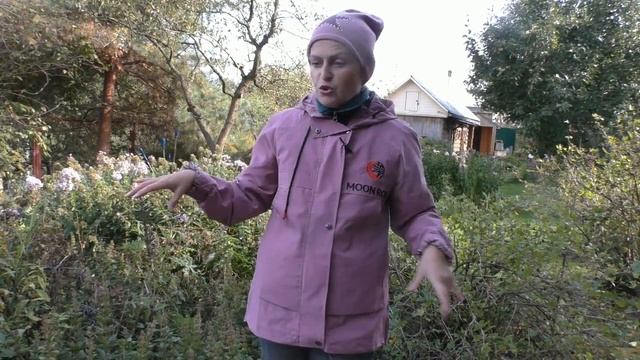 Как избавиться от мышей безопасным способом смотреть онлайн