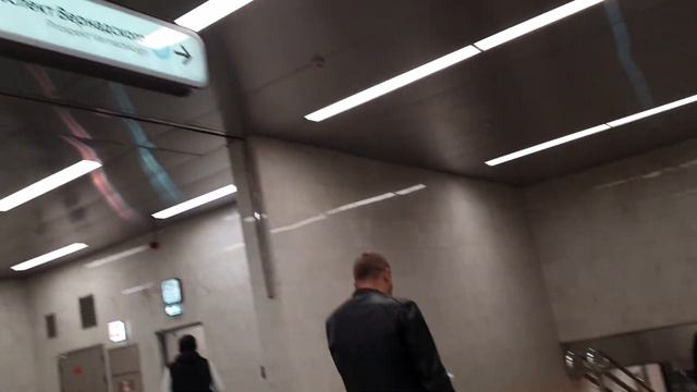 В Переходе Пр.ВЕРНАДСКОГО на БКЛ - СКРИПАЧКА смотреть онлайн