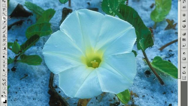 Photoshop Dasturida Ishlash. 3-dars.