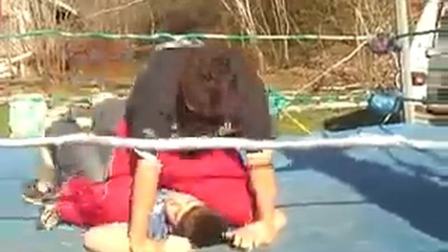 Wildfire Vs Johnny Dynamite 2