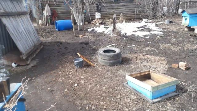 Пчеловодство, весенняя работа. Башкирия. смотреть онлайн