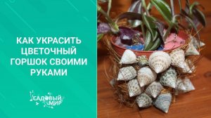 Супер цветочный горшок из майонезной банки! Как украсить цветочный горшок своими руками