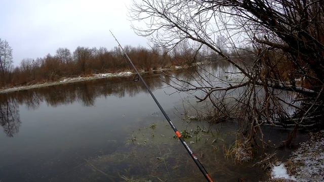 Приехал на протоку,а там...?!Ловля окуня перед ледоставом. смотреть онлайн