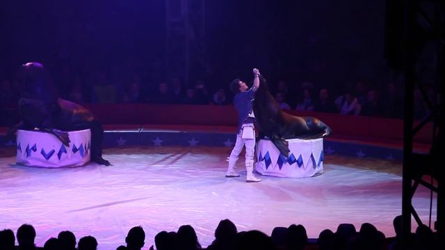 Vasily Timchenko /Василий Тимченко в Германии. Weltweihnachtscircus Stuttgart. смотреть онлайн