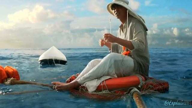 A Boy Saves the life of a Tiger who was drowning in Water. Explain in हिन्दी/اردو смотреть онлайн
