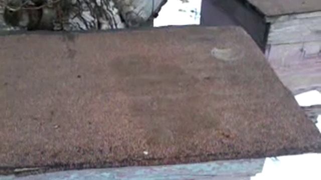 утепление ульев и подкормка