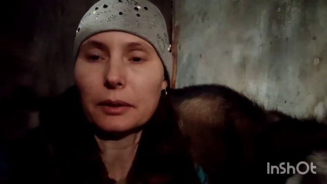 Определяем котность козы смотреть онлайн