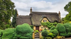 Почему в Англии так популярны соломенные крыши 100-летней давности: Пряничные домики по-британски