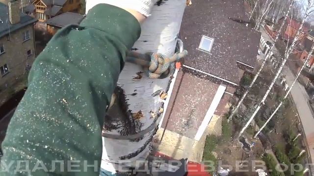 Удаление высокой березы в Мытищинском районе Мос.Обл. 8.04.15 смотреть онлайн