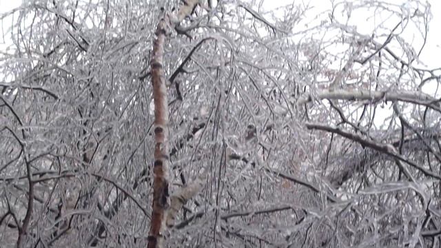 Последствия "ледяного" дождя в Москве смотреть онлайн