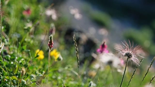 Успокаивающая музыка для нервов,если вы послушаете эту музыку?Исцеляющая музыка для сердца и сосудо смотреть онлайн