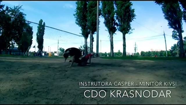 Capoeira Cdo Russia смотреть онлайн