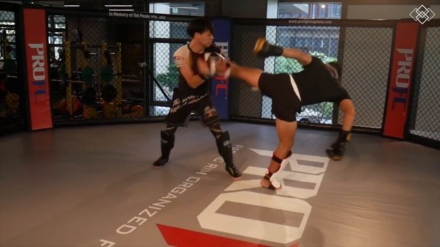 7 Favourite HEAD Kick Setups (Real Time Sparring Footage) смотреть онлайн