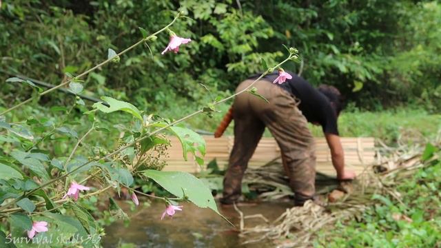 Thử thách 15 ngày sinh tồn một mình trong rừng mưa |Rừng nhiệt đới |EP 02- Tạo lửa, Cua đá lá chua смотреть онлайн