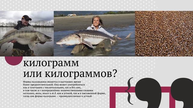 06 Язык региона 2020 03 24 Камешково Клеть Дисконт смотреть онлайн