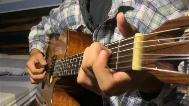 rises the moon - Liana Flores (fingerstyle guitar cover) смотреть онлайн