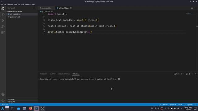 Hashing in Python using Hashlib and BCrypt | Hindi смотреть онлайн