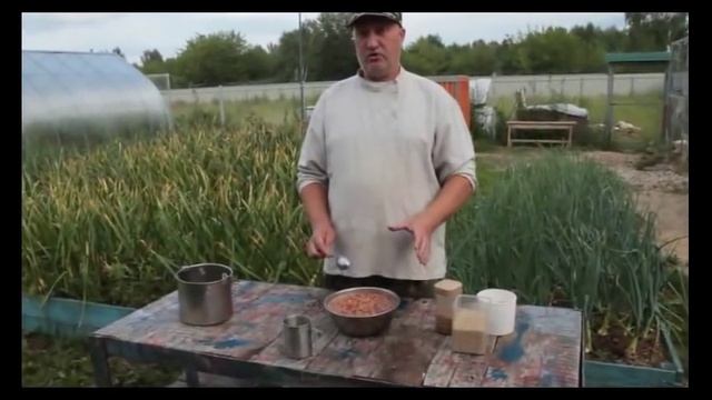 Как дрожжевать корм для цыплят с 1 месяца. смотреть онлайн