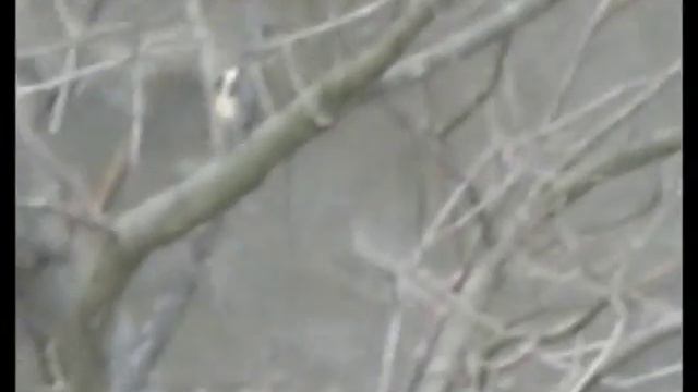 ВОДА - ЭТО ЖИЗНЬ смотреть онлайн