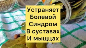 Чем Полезен Лавровый Лист?