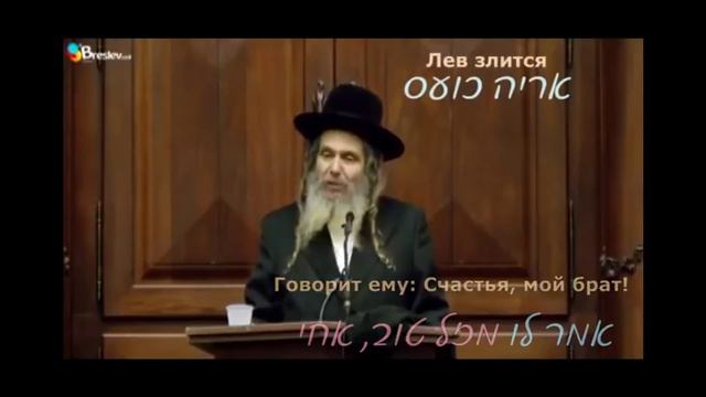 Еврей о браке. смотреть онлайн