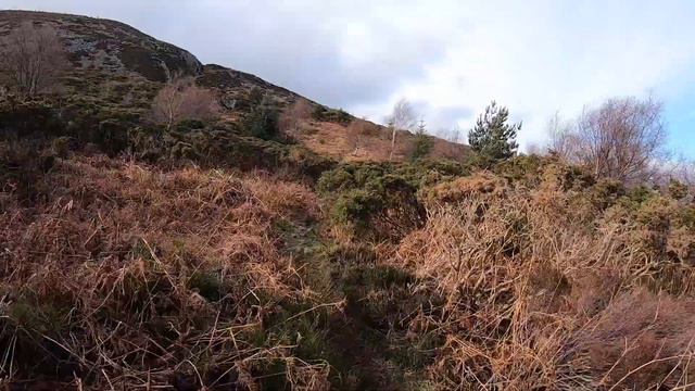 Great Sugar Loaf смотреть онлайн