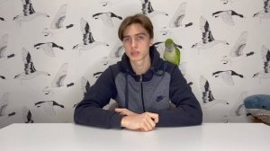 Самые частые болезни волнистых попугаев. Как определить, что попугай болен