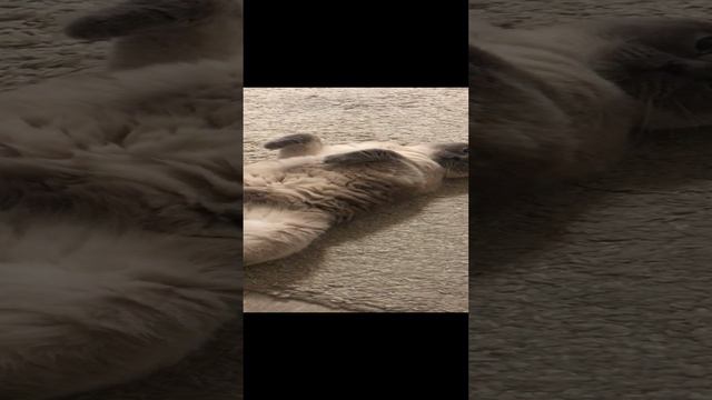 Моя София болеет