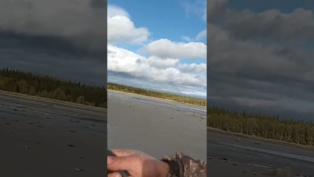 каракат Охотник. Лифан 20 сил смотреть онлайн