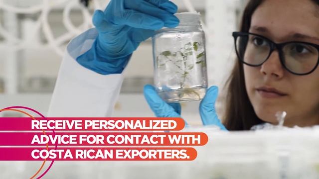BTM 2021 Costa Rica: Register for BTM and look closer into our source of innovation. смотреть онлайн