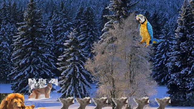 Про Жирафа .wmv смотреть онлайн