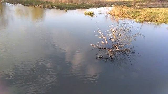 Вода в Крыму смотреть онлайн