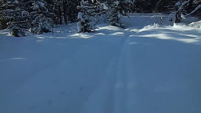 ОХОТА НА ЛИСУ КАПКАНАМИ КУНИЦА В ПРОХОДНОМ КАПКАНЕ смотреть онлайн