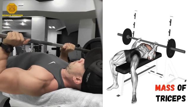 6 BICEPS AND TRICEPS EXERCISES SUPER-SET / Musculation triceps et biceps en superset смотреть онлайн